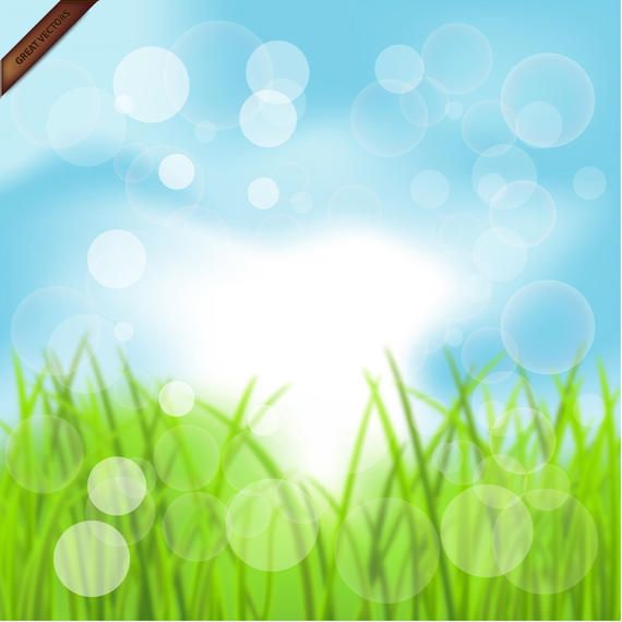 Summer Bokeh Background Summer Bokeh Background