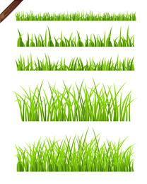 Realistic grass illustration set Realistic grass illustration set