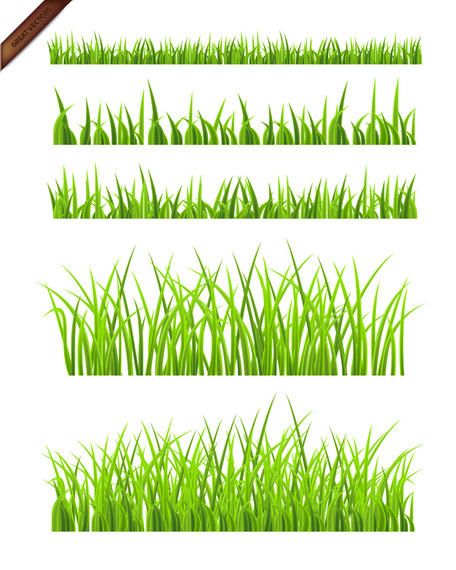 Realistic grass illustration set Realistic grass illustration set