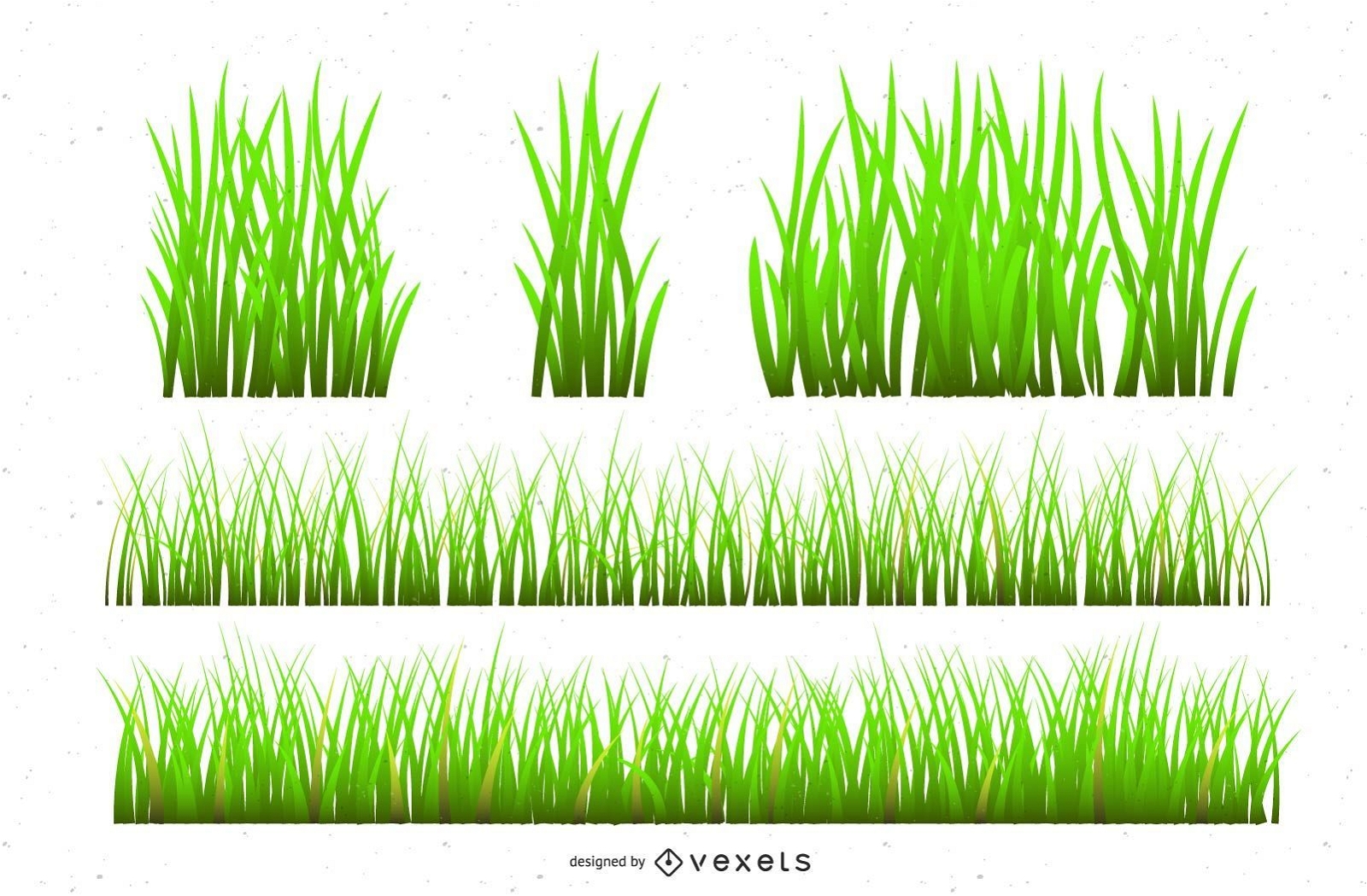 Conjunto de ilustración de hierba realista