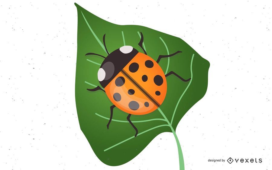 Vector Ladybug Vector Ladybug