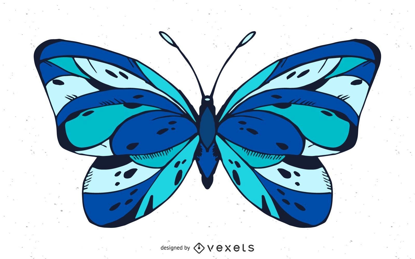 Jogo de vetores de borboleta de desenho animado grátis 93412 Vetor no  Vecteezy