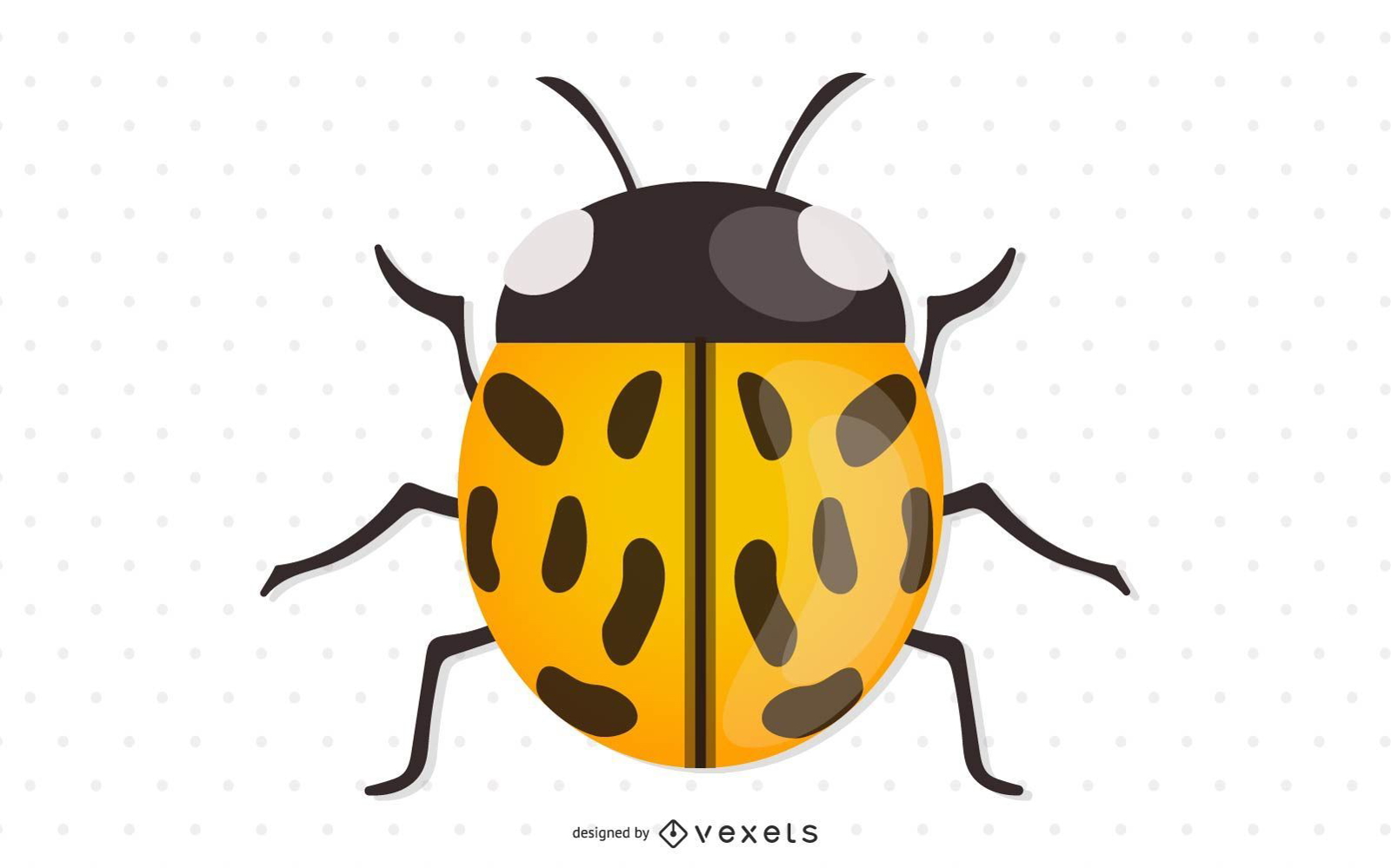 Lady Bug PNG Images & PSDs for Download