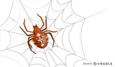 Vector insect Spider