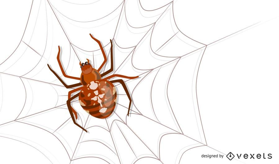 Aranha De Vetor Baixar Vector