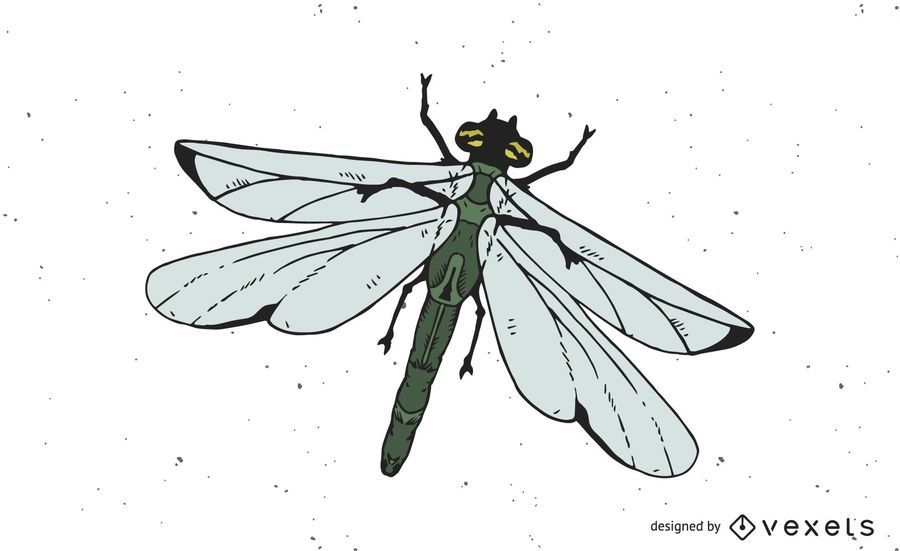 Download Vector Dragonfly - Vector Download