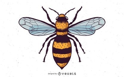 Vector Honey Bee