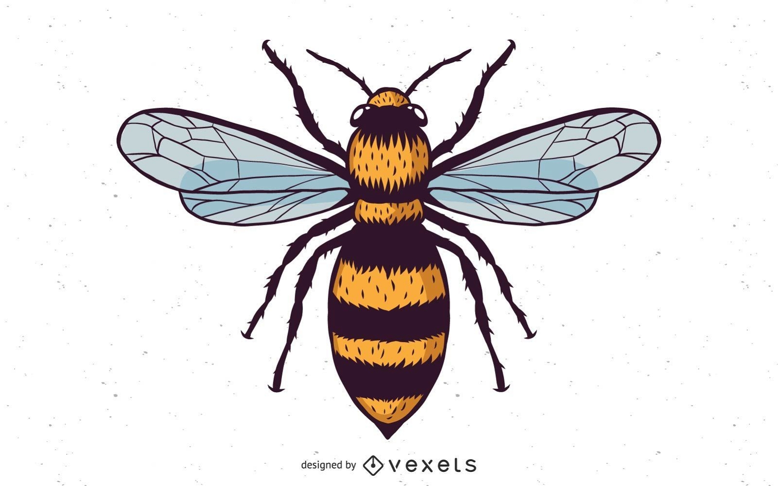 Vector Honey Bee