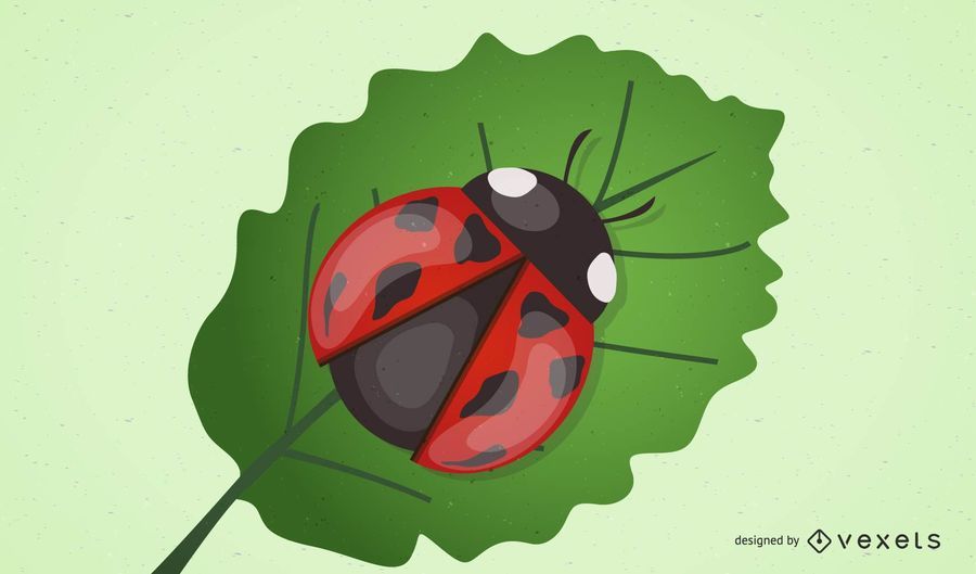 Vector Ladybug Vector Ladybug