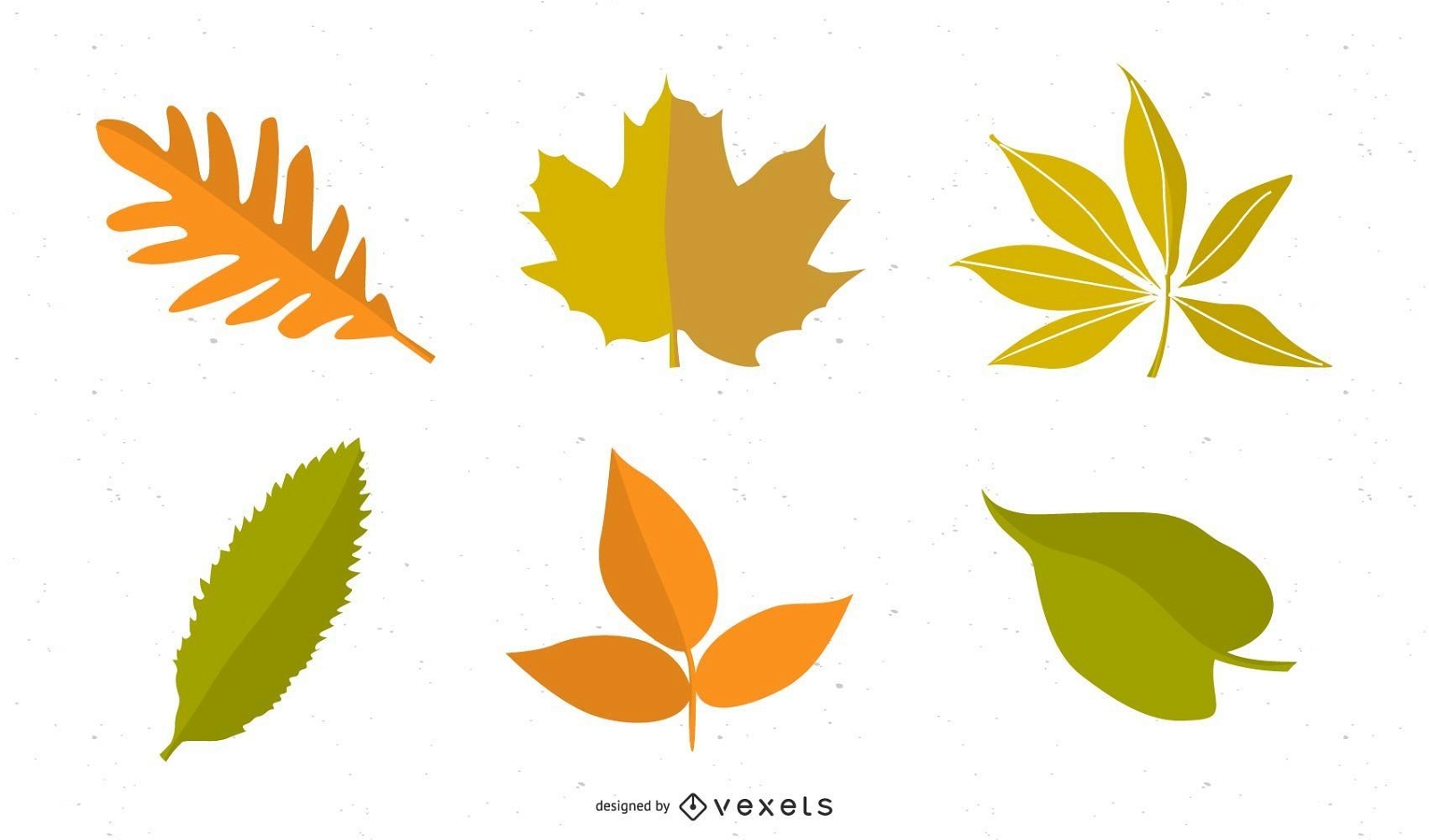 Folhas de outono de vetor