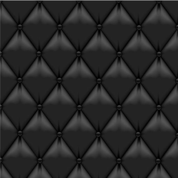 Black Leather Upholstery Black Leather Upholstery