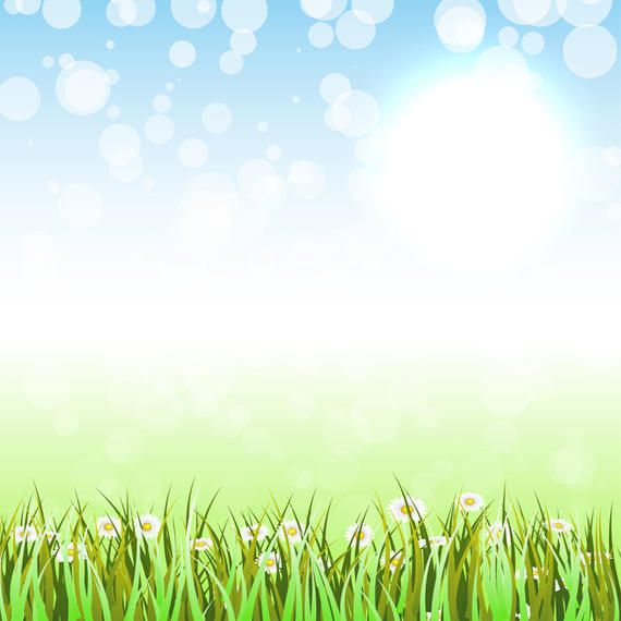 Hierba de primavera Hierba de primavera