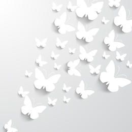 Paper Butterflies Paper Butterflies