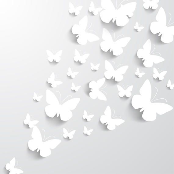 Paper Butterflies Paper Butterflies