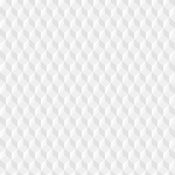 White Seamless Background White Seamless Background
