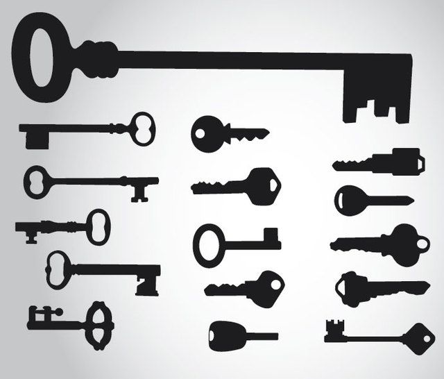 16 Key Silhouettes