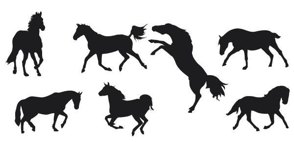 Silhouette Horses Silhouette Horses