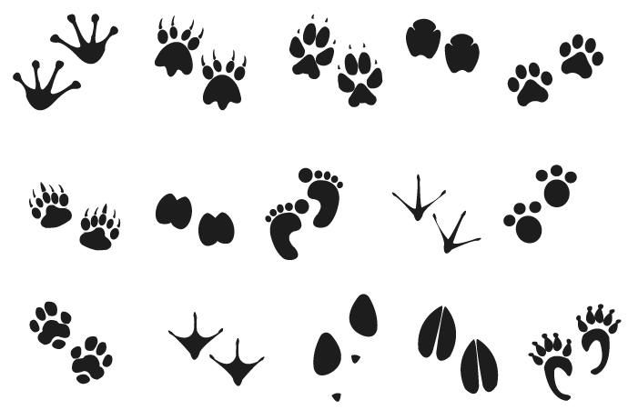 Download Human Animal Footprints - Vector Download