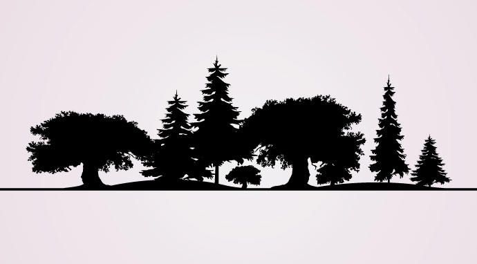 Tree Silhouettes Tree Silhouettes