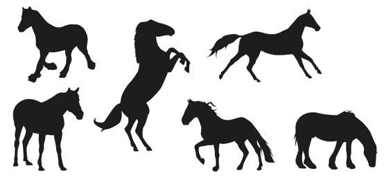 Horse Silhouettes Horse Silhouettes