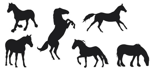 Download Horse Silhouettes - Vector download