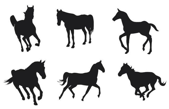 Conjunto de 6 silhuetas de cavalos