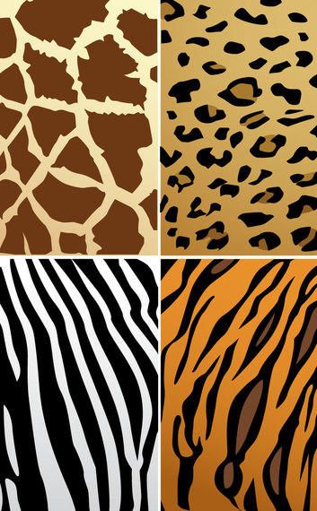 Animal Skin Textures - Vector download