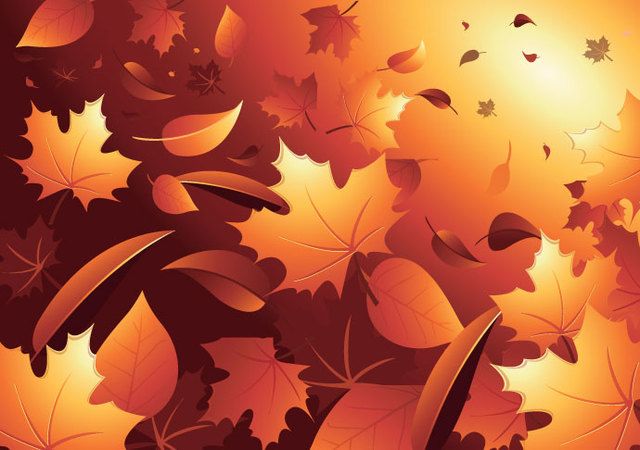 autumn leaves vector png