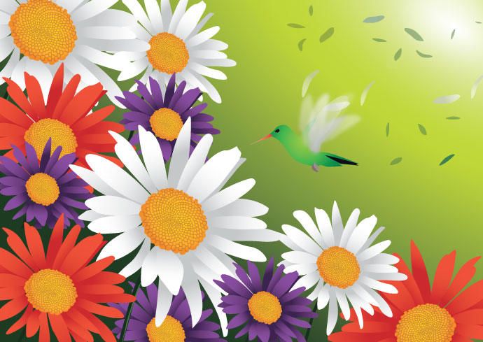 Spring Flowers Bird Spring Flowers Bird