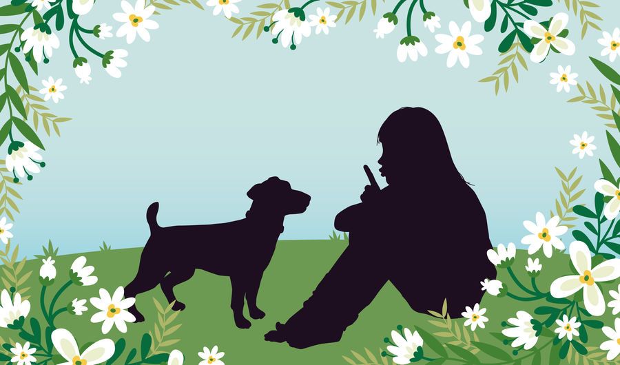 Girl with Dog Grassy Field Girl with Dog Grassy Field