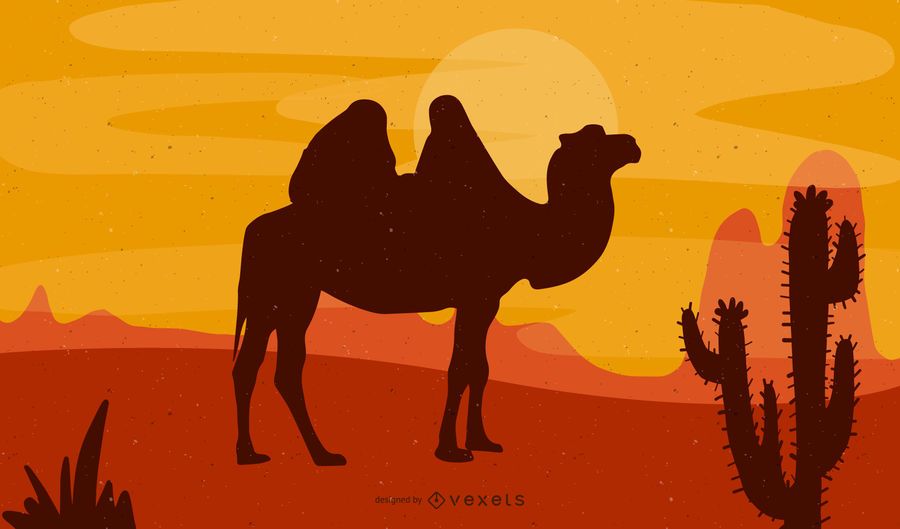 Menino com camelo no deserto Menino com camelo no deserto
