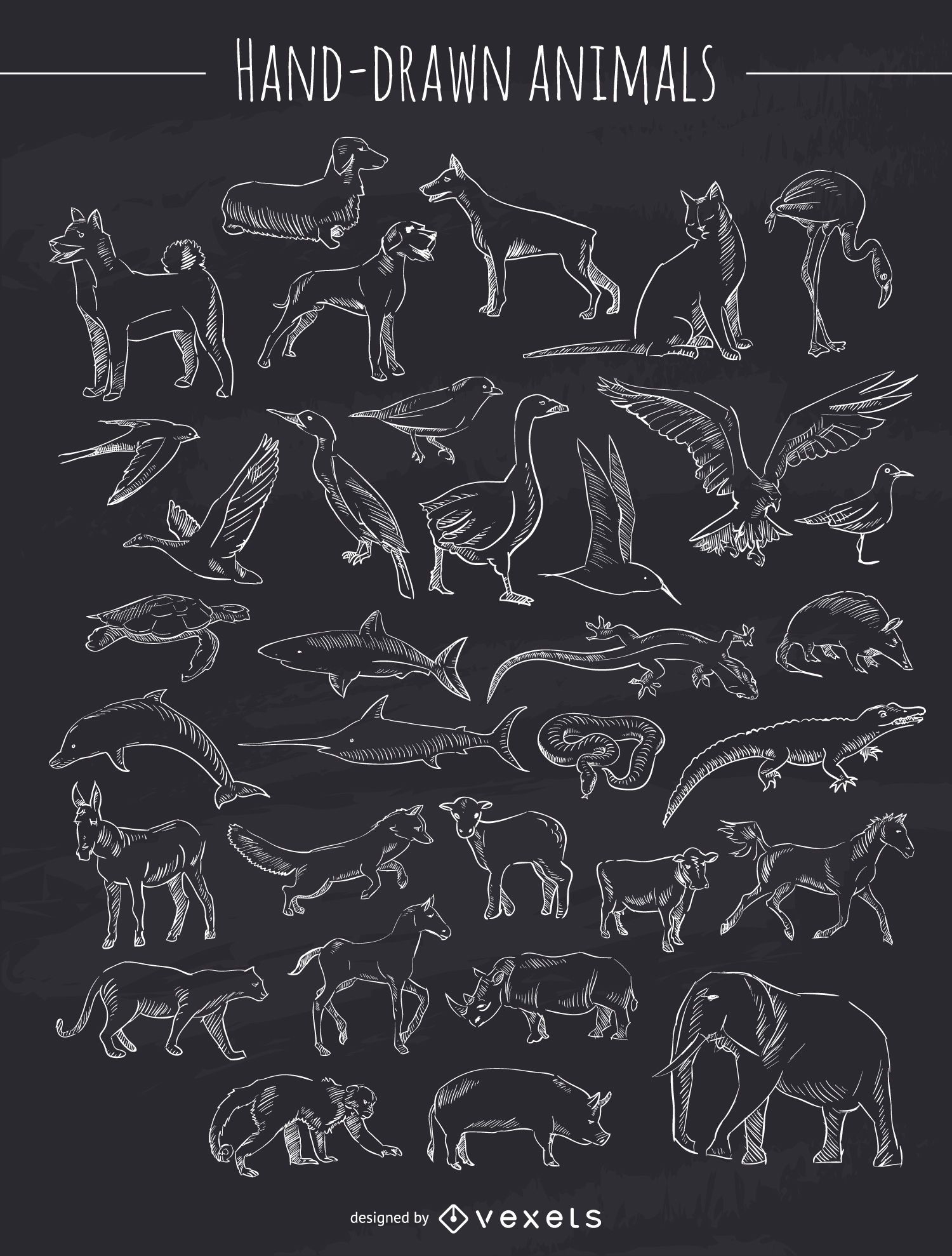 Chalk hand-drawn animals collection