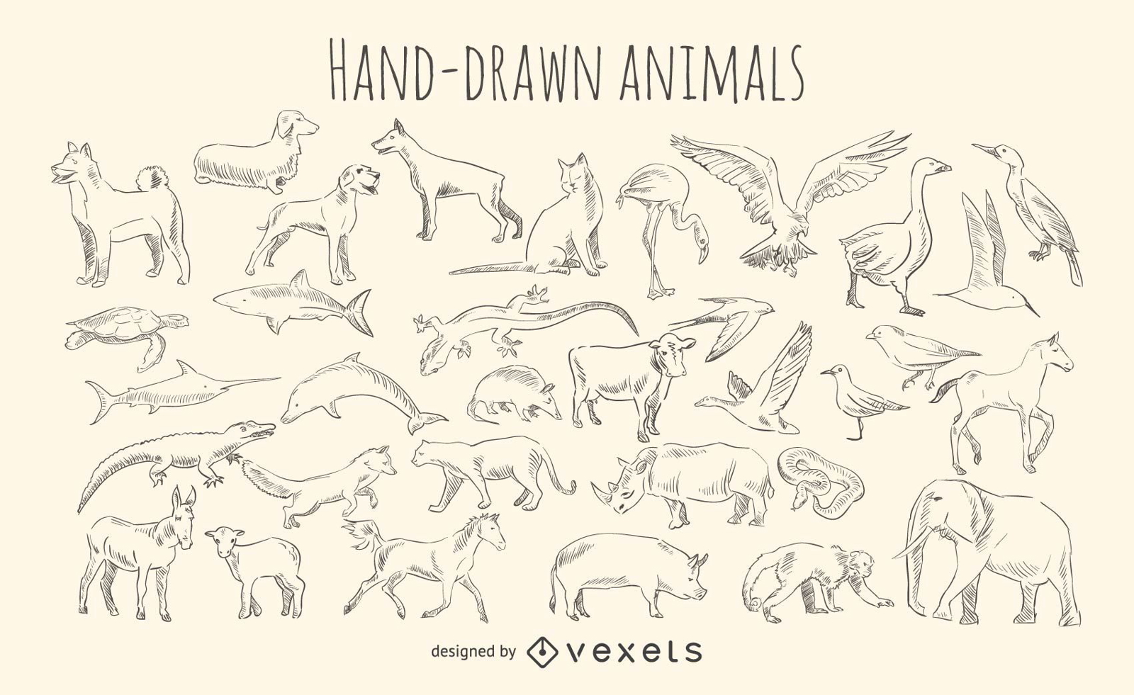 Conjunto de animales dibujados a mano