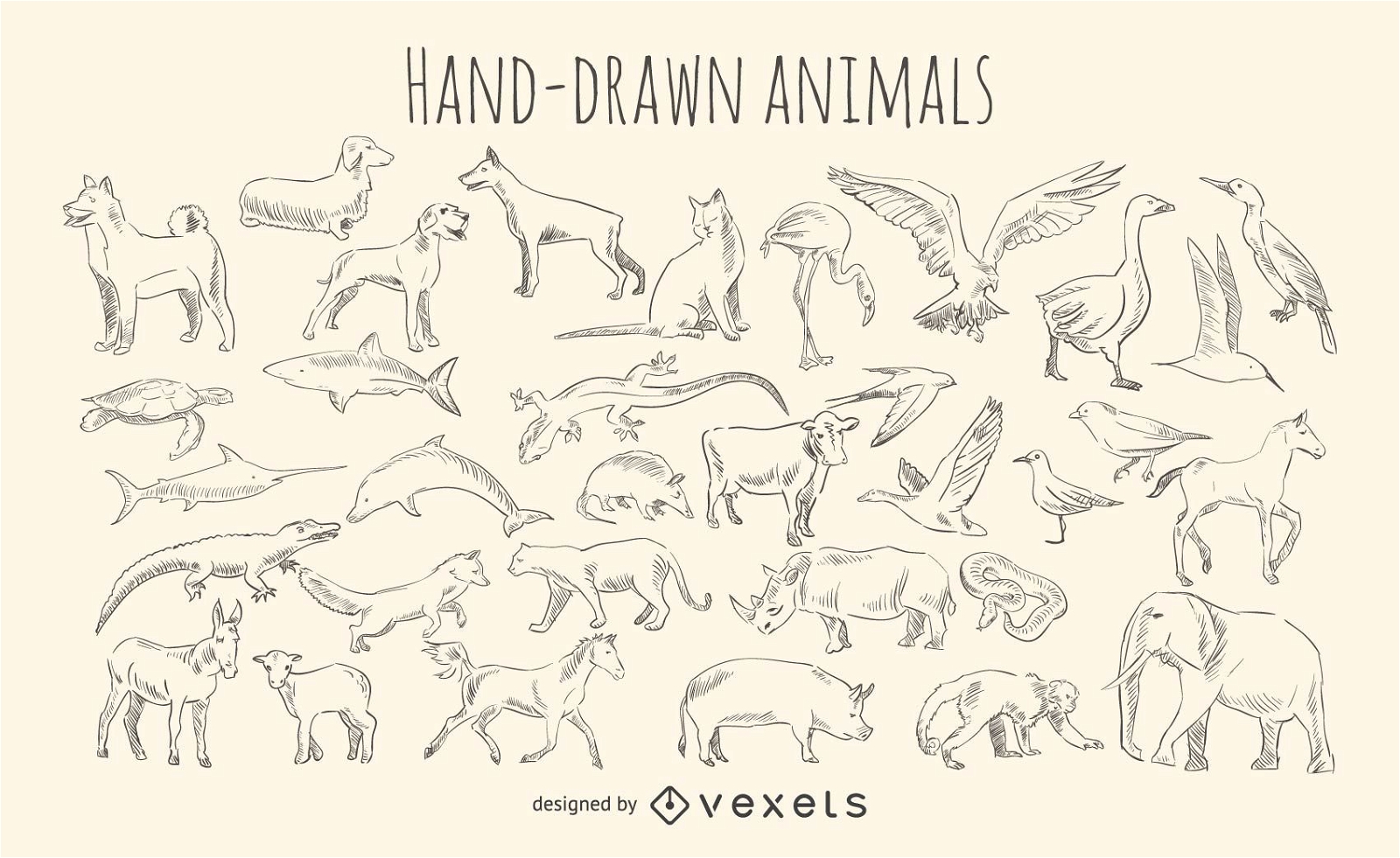 Hand-drawn animals set