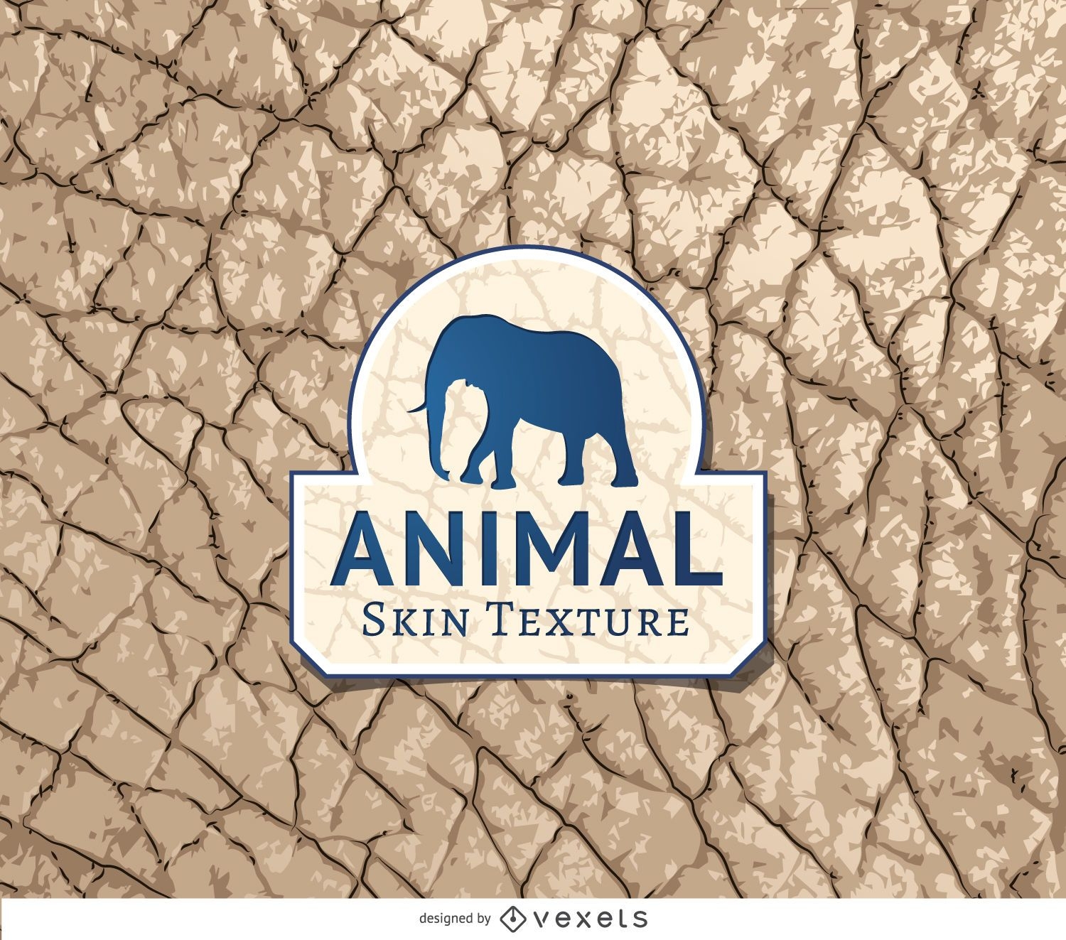 Elefantenhaut Textur