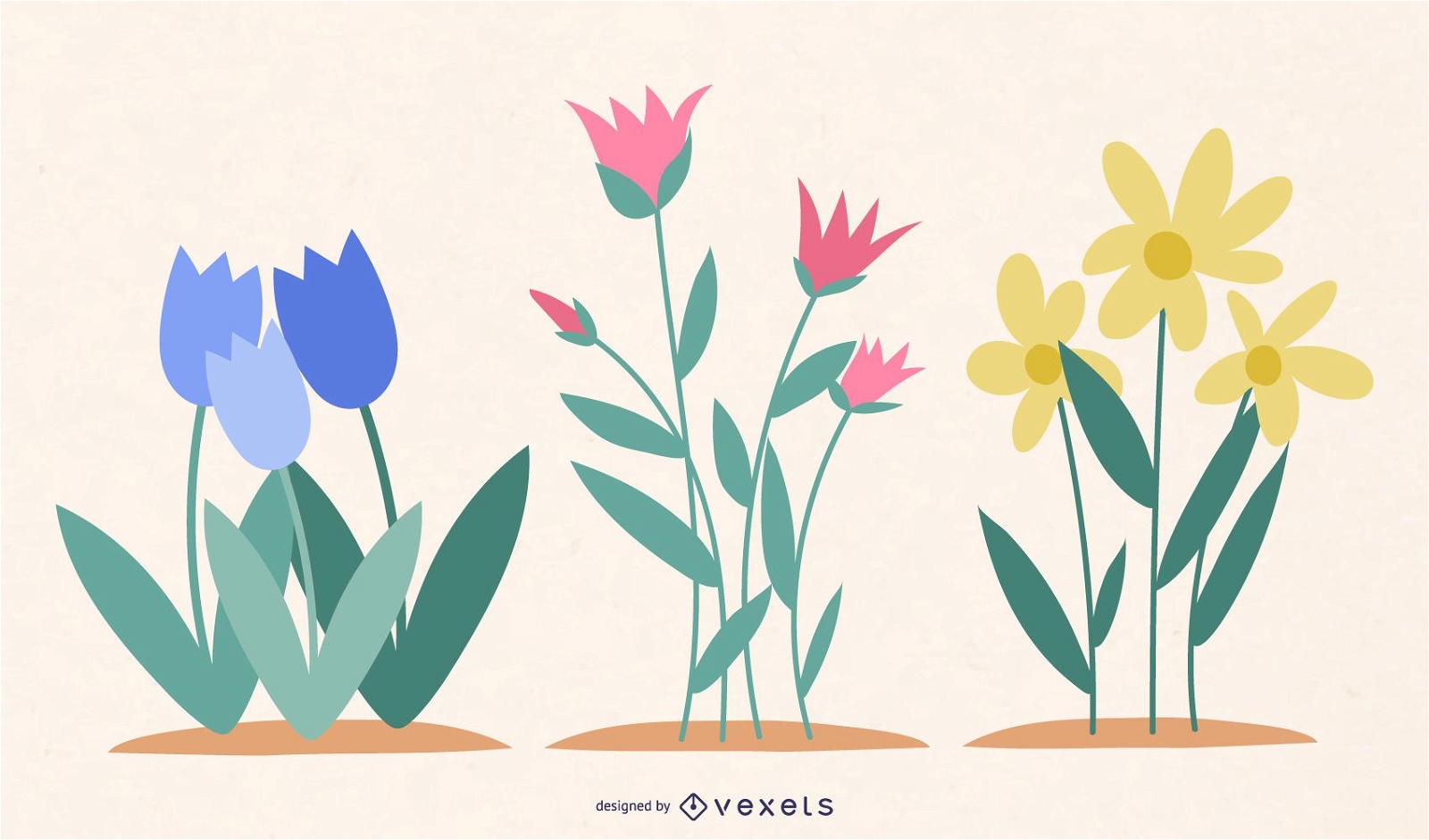 Flowers illustration design
