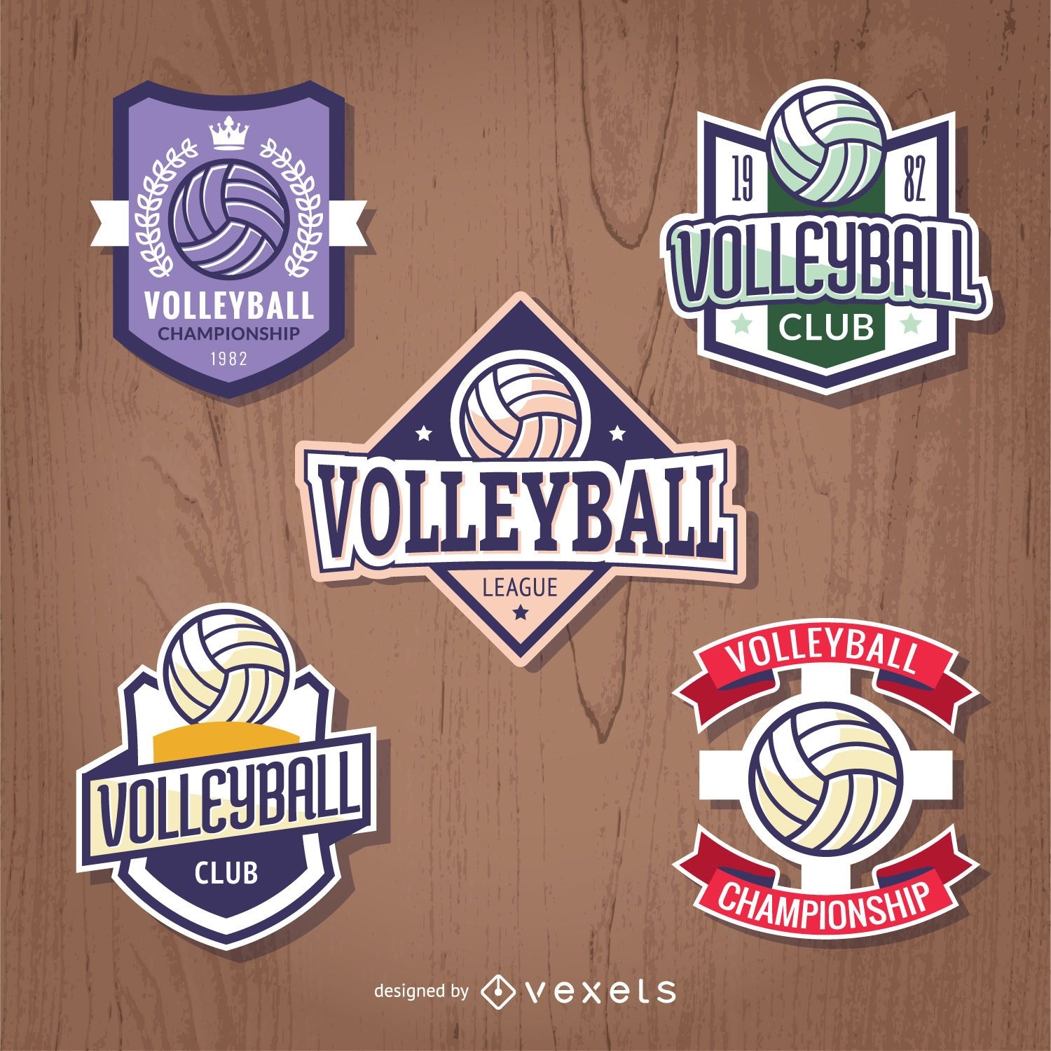Conjunto de insignias de voleibol.