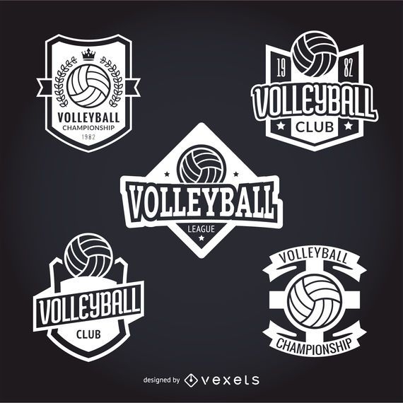 Set Of Volley Stickers - Vector Download