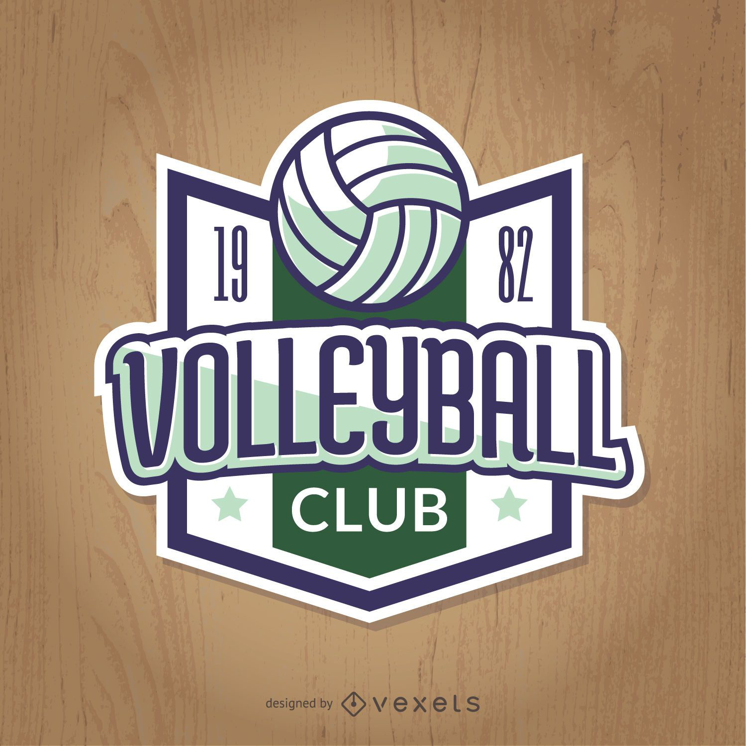 Vintage volleyball badge in green and blue