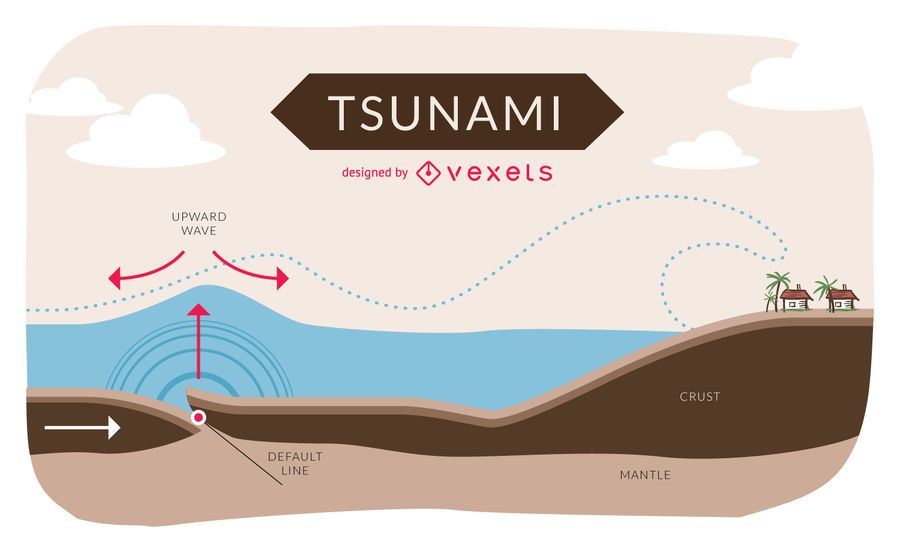 A Diagram Of A Tsunami