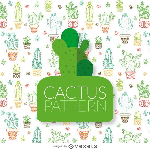 Dibujado a mano patrón de contornos de cactus Dibujado a mano patrón de contornos de cactus