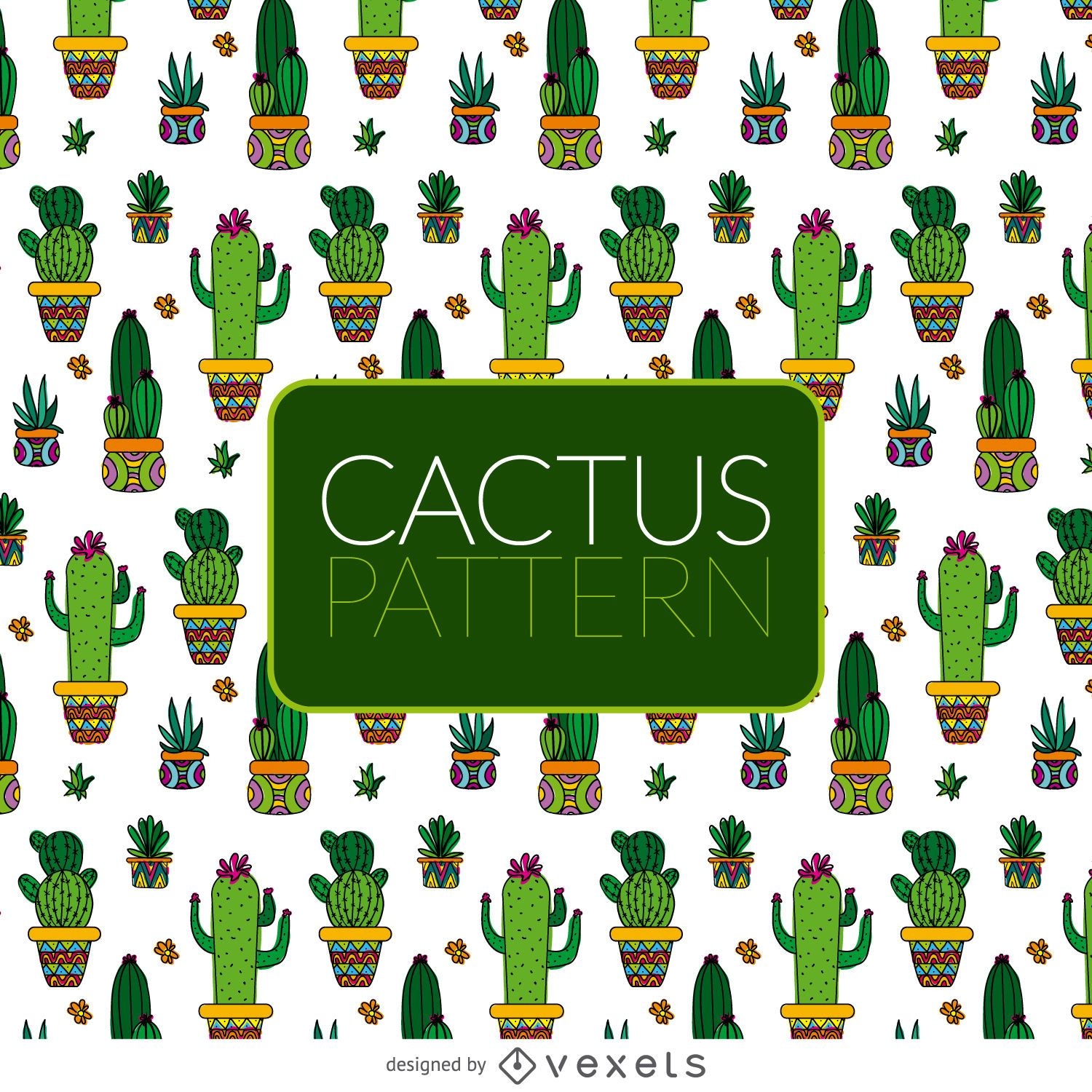 Cactus illustration pattern