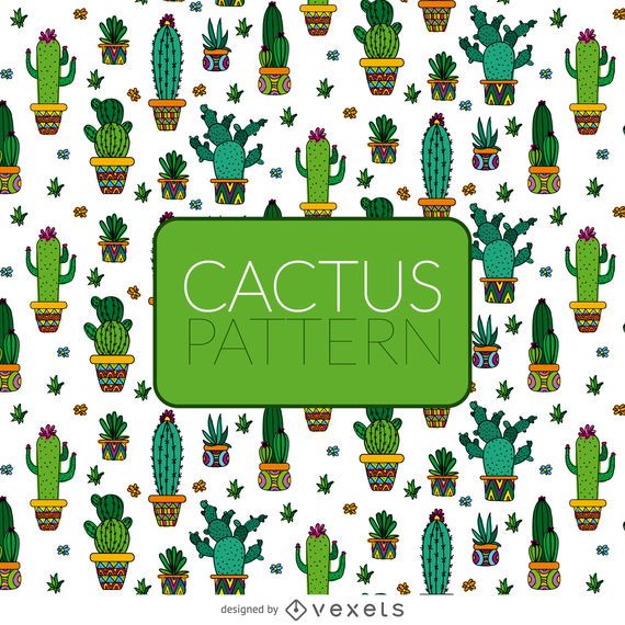patrón ilustrado de cactus patrón ilustrado de cactus