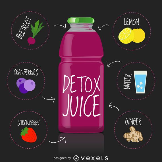 Detox Juice Recipe Drawing Vector Download