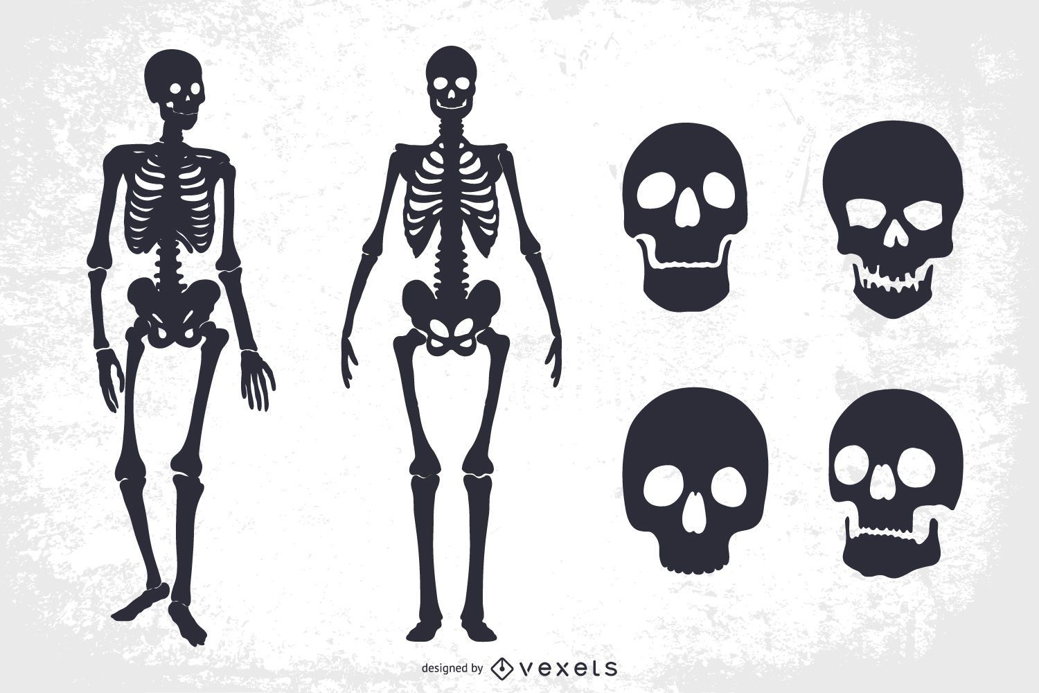 Skulls and Skeletons Set