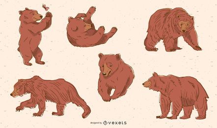 Brown bear pack