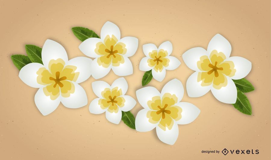 Plumeria Vector Flowers Plumeria Vector Flowers