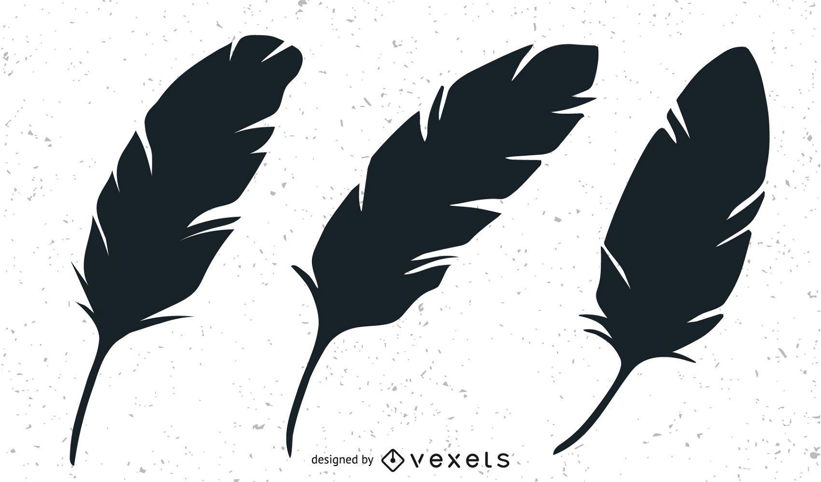 Three black feathers