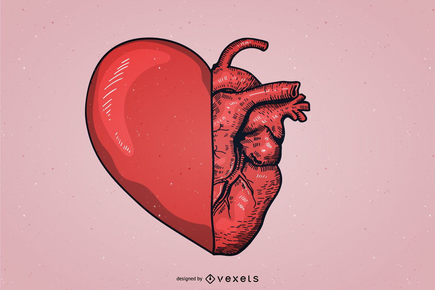 Love Lee Heart Vector