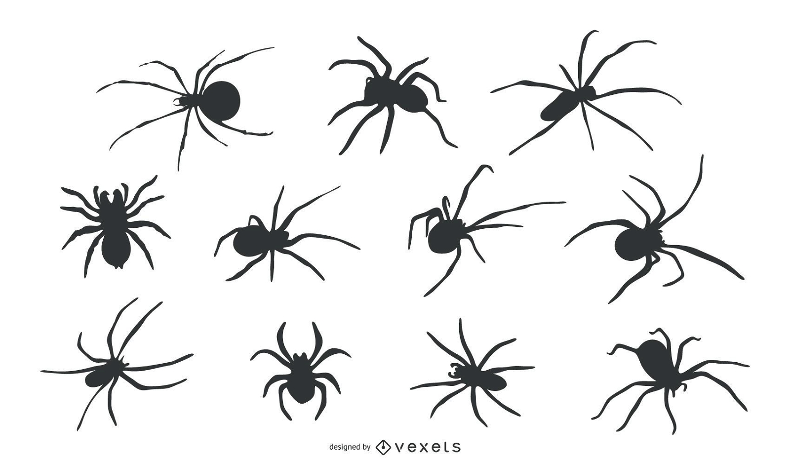 Conjunto de silhueta de animal aranha